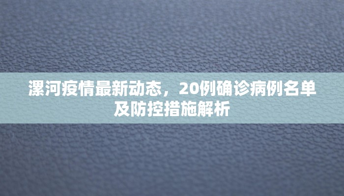 漯河疫情最新动态，20例确诊病例名单及防控措施解析
