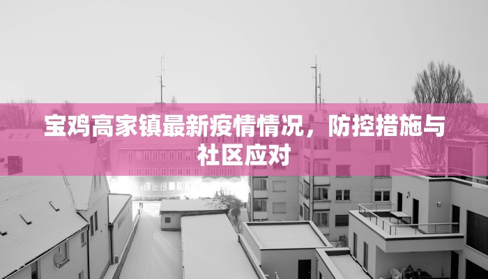宝鸡高家镇最新疫情情况，防控措施与社区应对