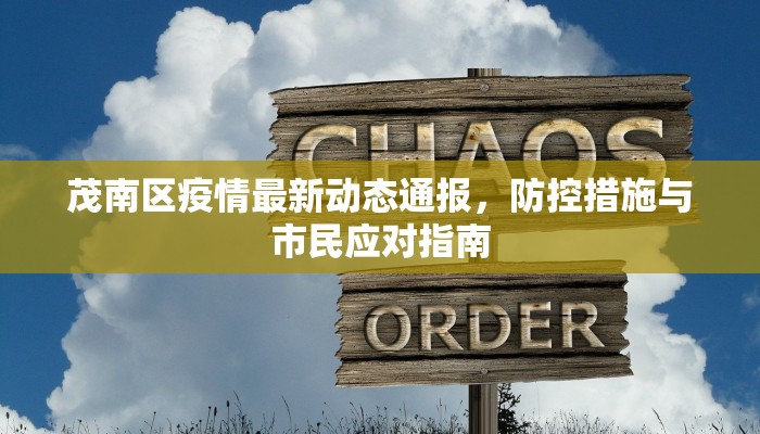 茂南区疫情最新动态通报，防控措施与市民应对指南