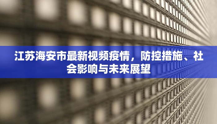 江苏海安市最新视频疫情，防控措施、社会影响与未来展望