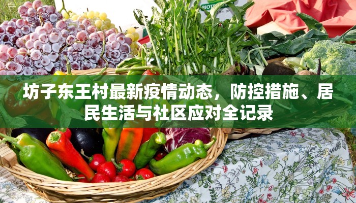 坊子东王村最新疫情动态，防控措施、居民生活与社区应对全记录