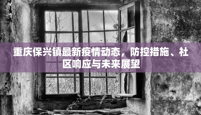 重庆保兴镇最新疫情动态，防控措施、社区响应与未来展望
