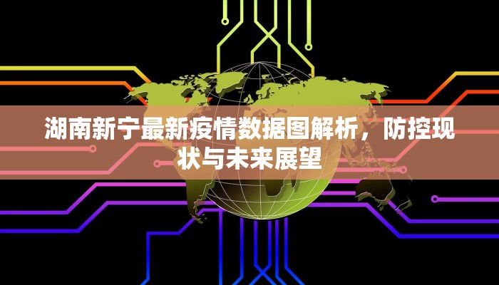 湖南新宁最新疫情数据图解析，防控现状与未来展望