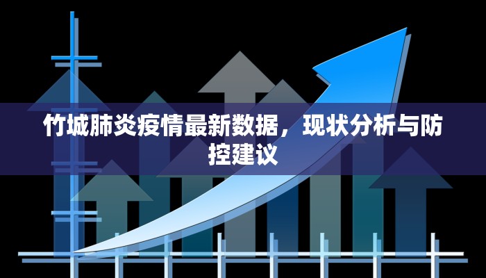 竹城肺炎疫情最新数据，现状分析与防控建议