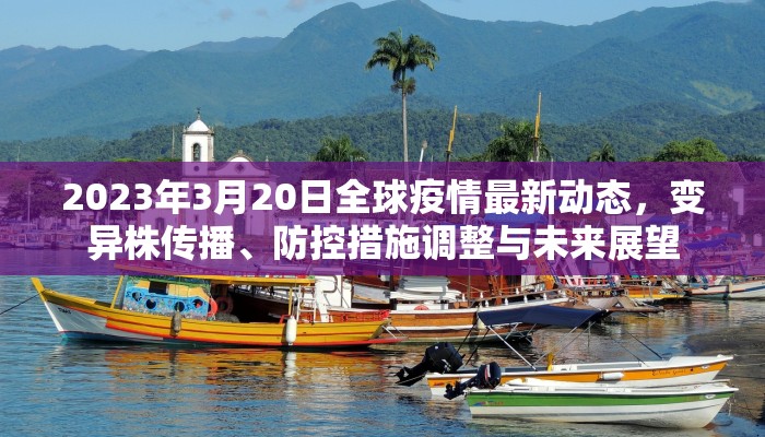 2023年3月20日全球疫情最新动态，变异株传播、防控措施调整与未来展望