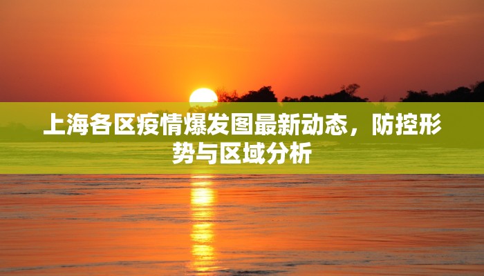 上海各区疫情爆发图最新动态，防控形势与区域分析