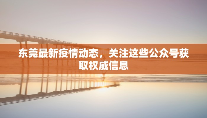 东莞最新疫情动态，关注这些公众号获取权威信息