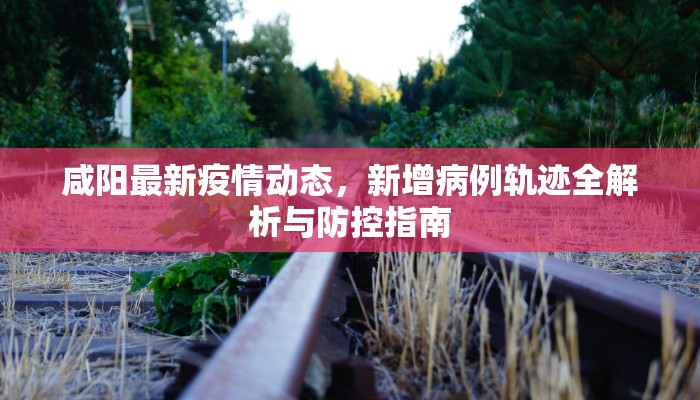 咸阳最新疫情动态，新增病例轨迹全解析与防控指南