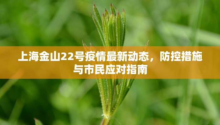 上海金山22号疫情最新动态，防控措施与市民应对指南