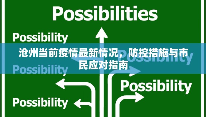 沧州当前疫情最新情况，防控措施与市民应对指南