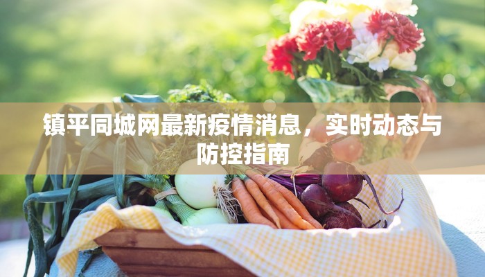 镇平同城网最新疫情消息，实时动态与防控指南