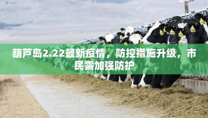 葫芦岛2.22最新疫情，防控措施升级，市民需加强防护