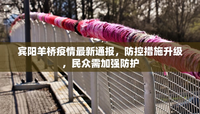 宾阳羊桥疫情最新通报，防控措施升级，民众需加强防护