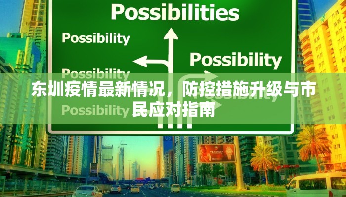 东圳疫情最新情况，防控措施升级与市民应对指南