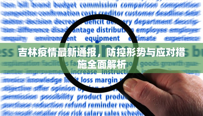 吉林疫情最新通报，防控形势与应对措施全面解析