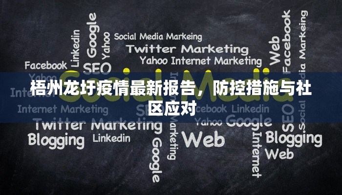 梧州龙圩疫情最新报告，防控措施与社区应对