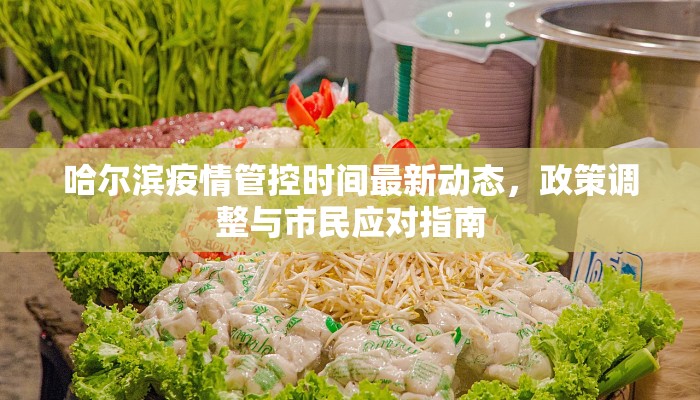 哈尔滨疫情管控时间最新动态，政策调整与市民应对指南