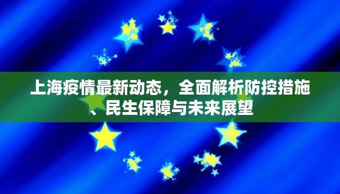 上海疫情最新动态，全面解析防控措施、民生保障与未来展望