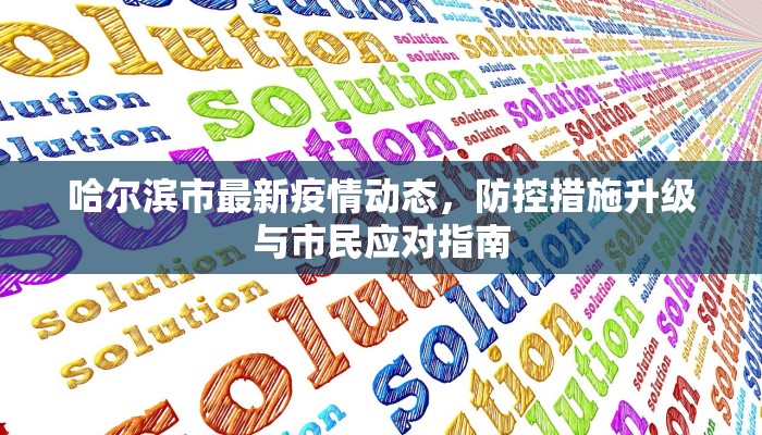 哈尔滨市最新疫情动态，防控措施升级与市民应对指南