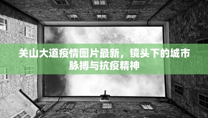 浙江丽水最新新冠疫情，防控措施与市民应对指南
