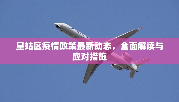 皇姑区疫情政策最新动态，全面解读与应对措施