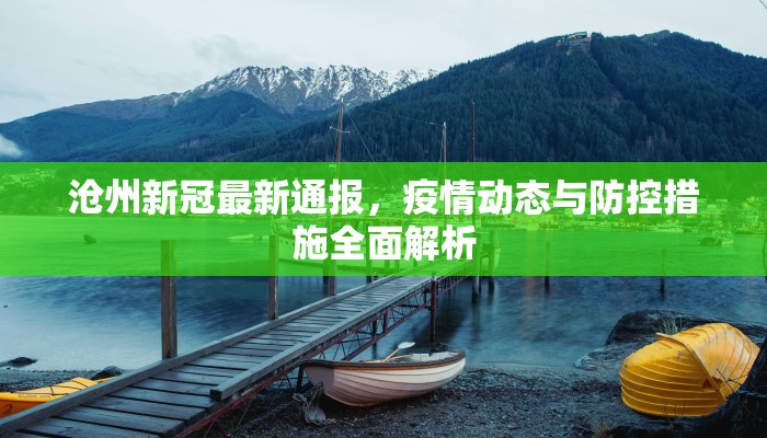 沧州新冠最新通报，疫情动态与防控措施全面解析