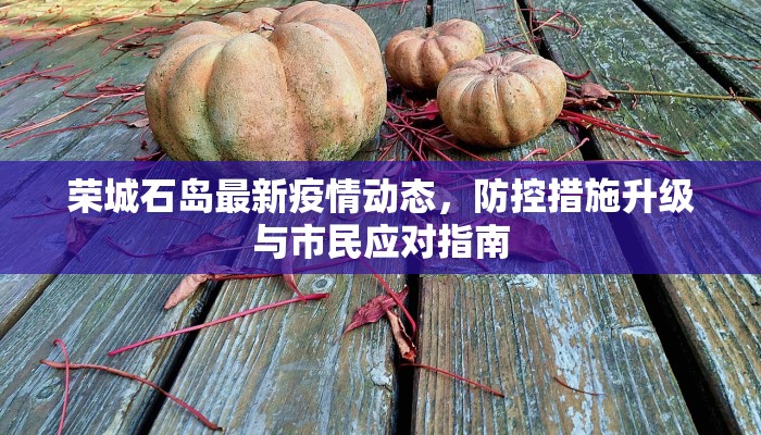 荣城石岛最新疫情动态，防控措施升级与市民应对指南