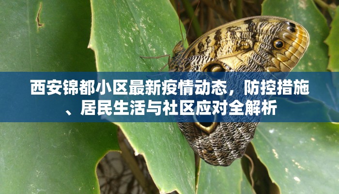 西安锦都小区最新疫情动态，防控措施、居民生活与社区应对全解析