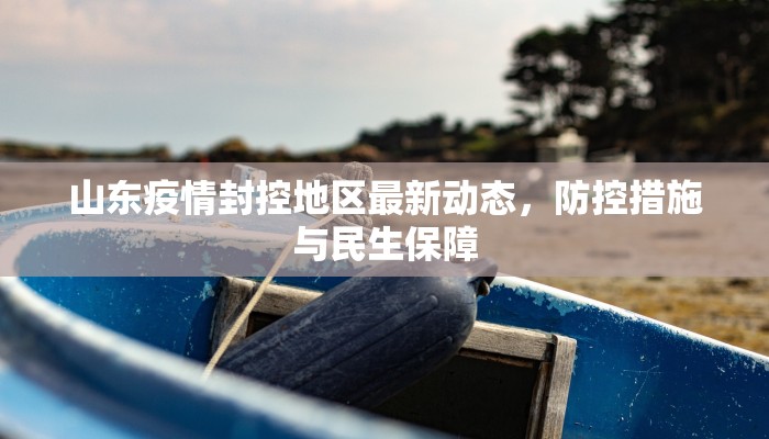 山东疫情封控地区最新动态，防控措施与民生保障