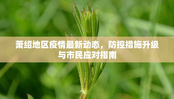 萧绍地区疫情最新动态，防控措施升级与市民应对指南