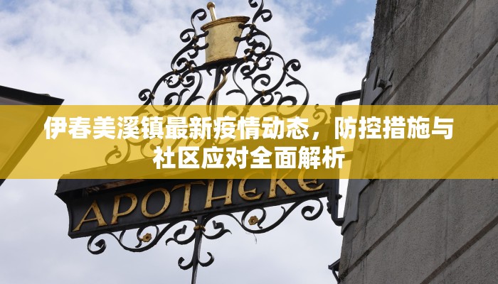 伊春美溪镇最新疫情动态，防控措施与社区应对全面解析