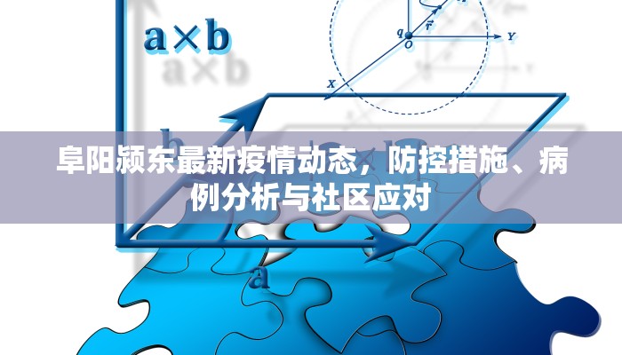 阜阳颍东最新疫情动态，防控措施、病例分析与社区应对