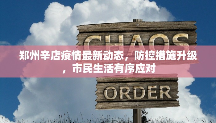 郑州辛店疫情最新动态，防控措施升级，市民生活有序应对