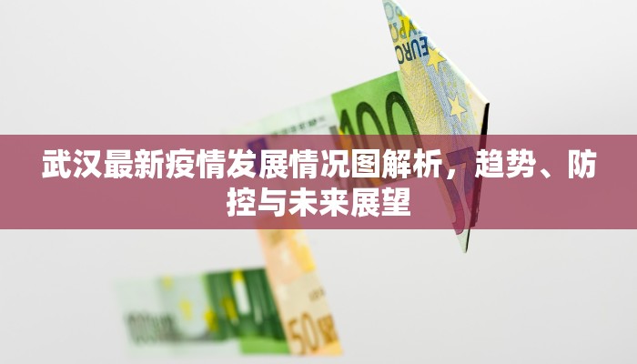 武汉最新疫情发展情况图解析，趋势、防控与未来展望