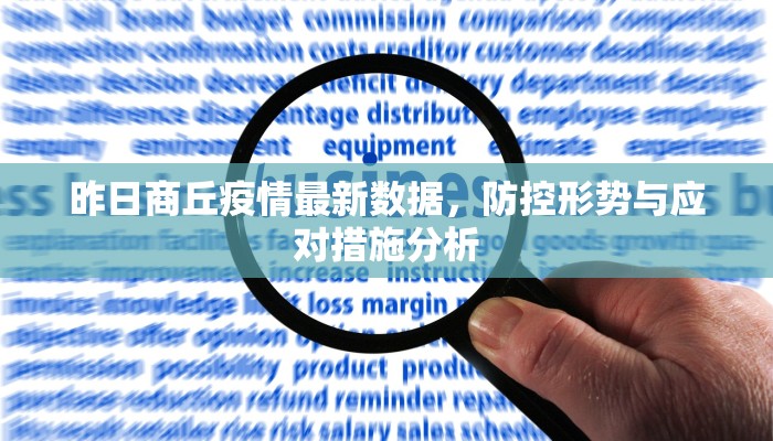 昨日商丘疫情最新数据，防控形势与应对措施分析