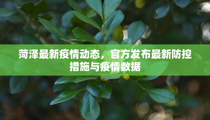菏泽最新疫情动态，官方发布最新防控措施与疫情数据