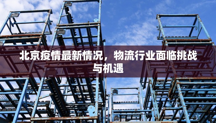 北京疫情最新情况，物流行业面临挑战与机遇