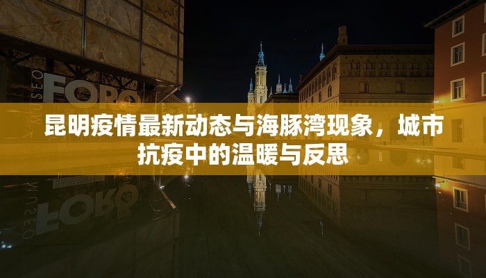 昆明疫情最新动态与海豚湾现象，城市抗疫中的温暖与反思
