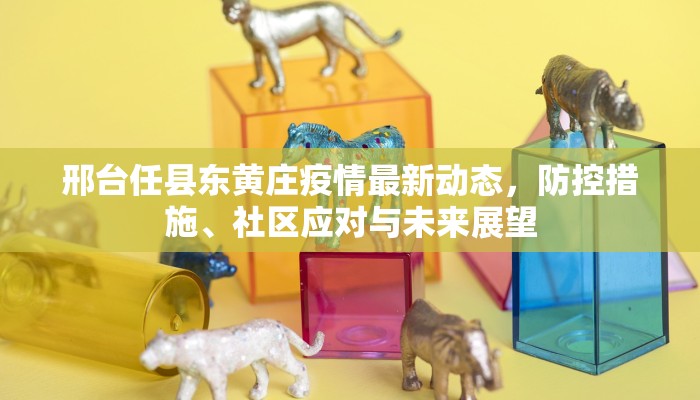 邢台任县东黄庄疫情最新动态，防控措施、社区应对与未来展望
