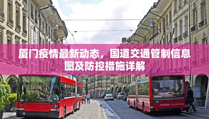 厦门疫情最新动态，国道交通管制信息图及防控措施详解