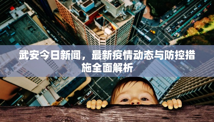 武安今日新闻，最新疫情动态与防控措施全面解析