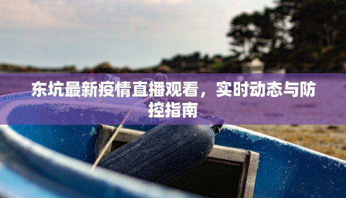 东坑最新疫情直播观看，实时动态与防控指南