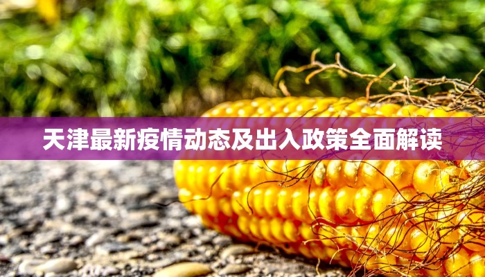 天津最新疫情动态及出入政策全面解读