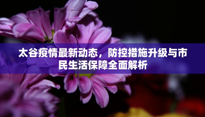 太谷疫情最新动态，防控措施升级与市民生活保障全面解析