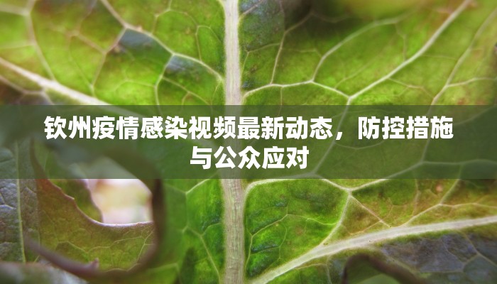 钦州疫情感染视频最新动态，防控措施与公众应对