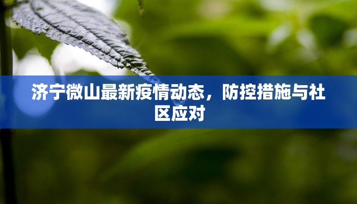 济宁微山最新疫情动态，防控措施与社区应对