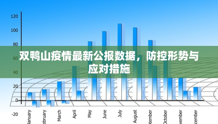 双鸭山疫情最新公报数据，防控形势与应对措施