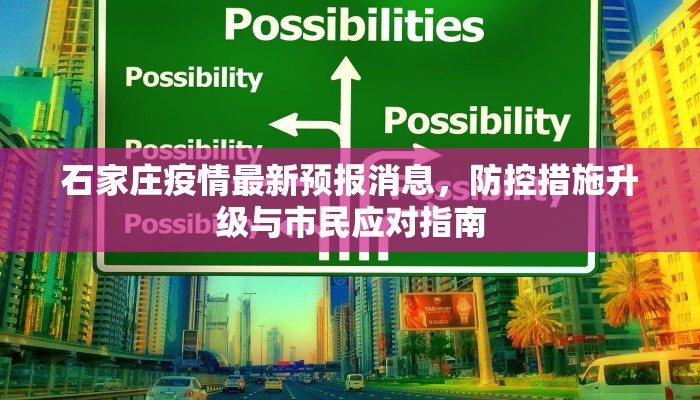 石家庄疫情最新预报消息，防控措施升级与市民应对指南
