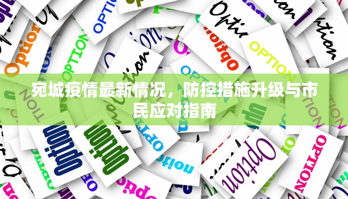 宛城疫情最新情况，防控措施升级与市民应对指南