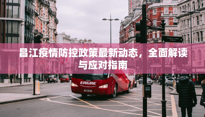 昌江疫情防控政策最新动态，全面解读与应对指南
